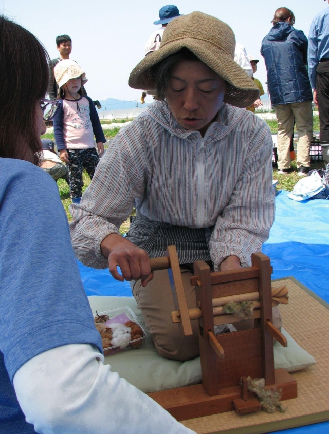＜写真＞綿の魅力を感じて 奈良県天理市で種まき、用具体験など｜奈良新聞デジタル